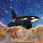 CosmoWhale